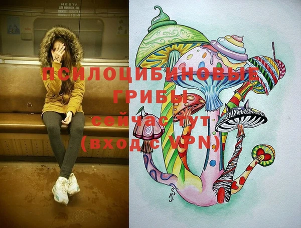 дживик Абинск