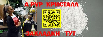 крисы Шелехов