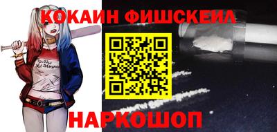 крисы Шелехов