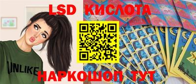 крисы Шелехов