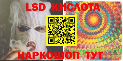 крисы Шелехов