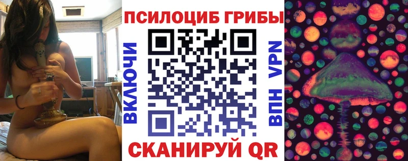 купить закладку  Богородицк  Галлюциногенные грибы Magic Shrooms 