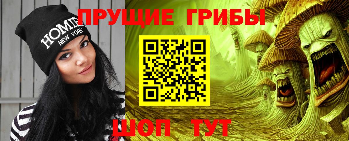Богородицк  Галлюциногенные грибы ЛСД  Вход с VPN  Галлюциногенные грибы Psilocybine cubensis 